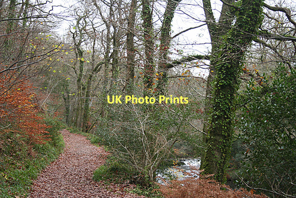 Photo 6"x4" Holne: above Salter's Pool Holne c2011