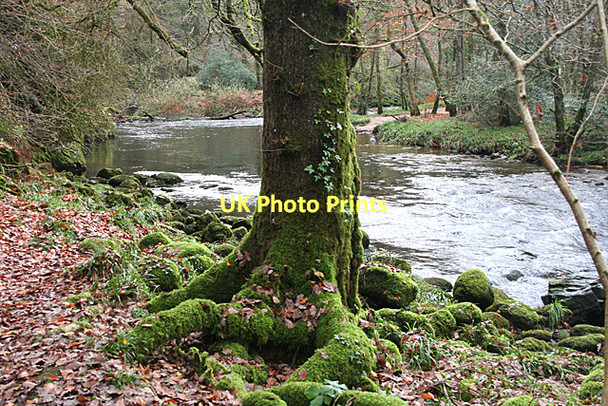Photo 6"x4" Holne: the Dart by Wellsfoot Island Holne c2011
