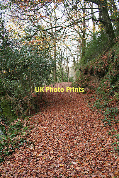 Photo 6"x4" Holne: bridleway to New Bridge Holne c2011