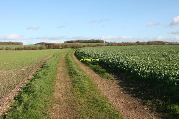 Photo 6"x4" Near Micheldever Station, Hampshire Hunton\/SU4839 c2011