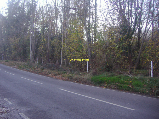 Photo 6"x4" Green Dene  East Horsley c2011