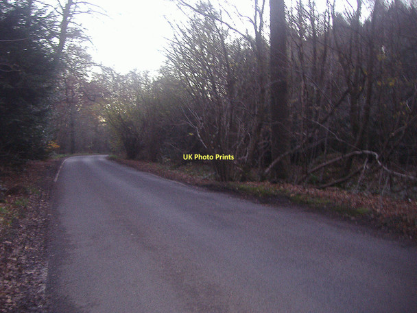 Photo 6"x4" Combe Lane north of Shere Shere c2011