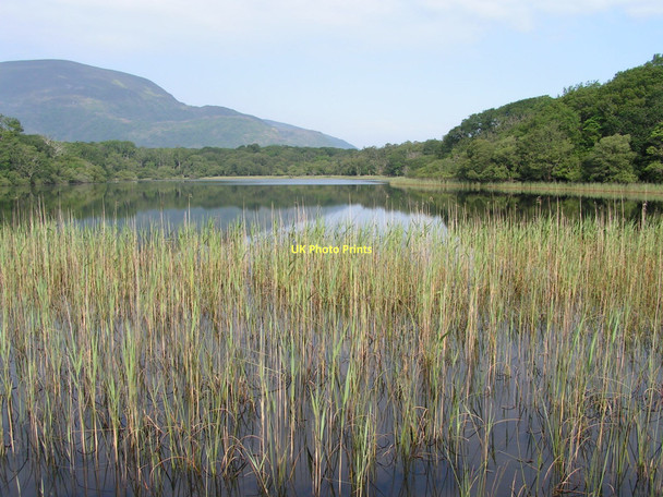 Photo 6"x4" Lough Doo in Killarney National Park Muckross c2005