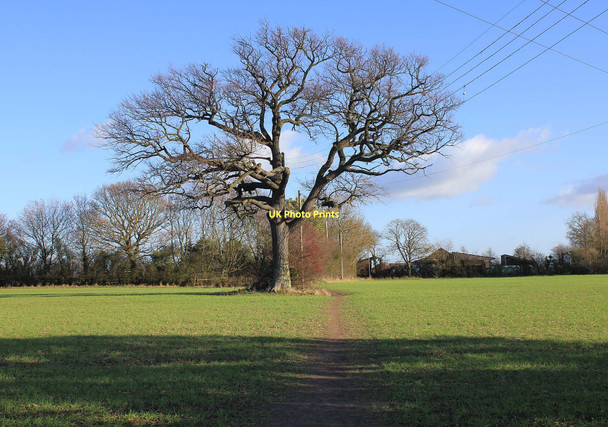 Photo 6"x4" Footpath to Harbury Harbury c2011