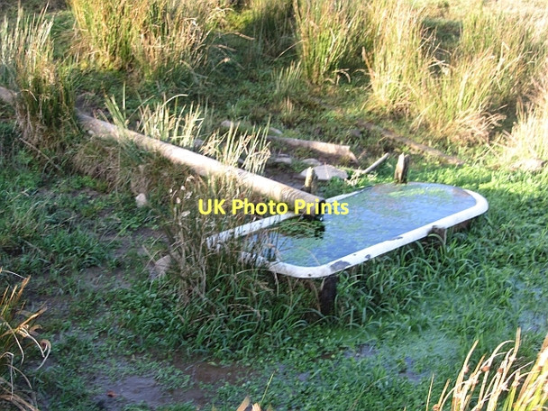 Photo 6"x4" Bath in a field Addinston c2011