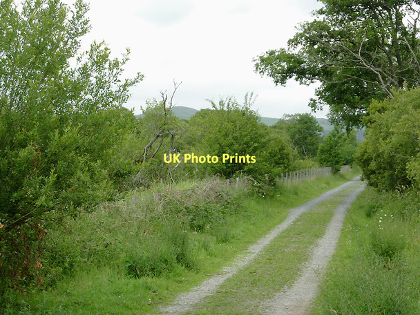 Photo 6"x4" Dismantled railway by Cors Caron, Ceredigion Swyddffynnon c2011