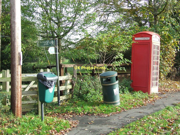 Photo 6"x4" Bins And Box Brinkley\/TL6254 c2011