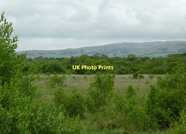 Photo 6"x4" Rough grassland by Cors Caron, Ceredigion Swyddffynnon c2010
