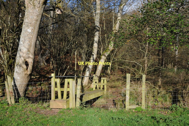 Photo 6"x4" Footbridge over the River Frome Edgeworth c2011