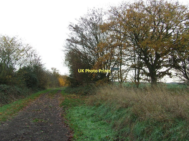 Photo 6"x4" Footpath Junction Brinkley\/TL6254 c2011