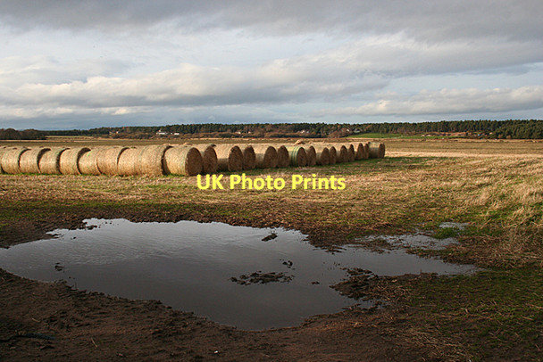 Photo 6"x4" Near Moss-side Nairn c2011