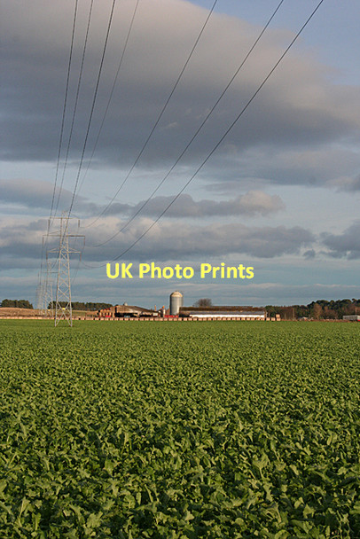 Photo 6"x4" Power Lines Moss-side\/NH8555 c2011