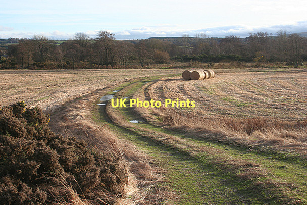 Photo 6"x4" Track to the River Culcharry c2011