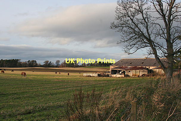 Photo 6"x4" Raitloan Farm Nairn c2011