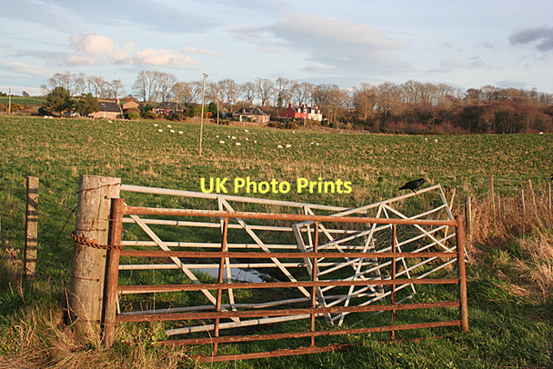 Photo 6"x4" Looking towards Park Auldearn c2011