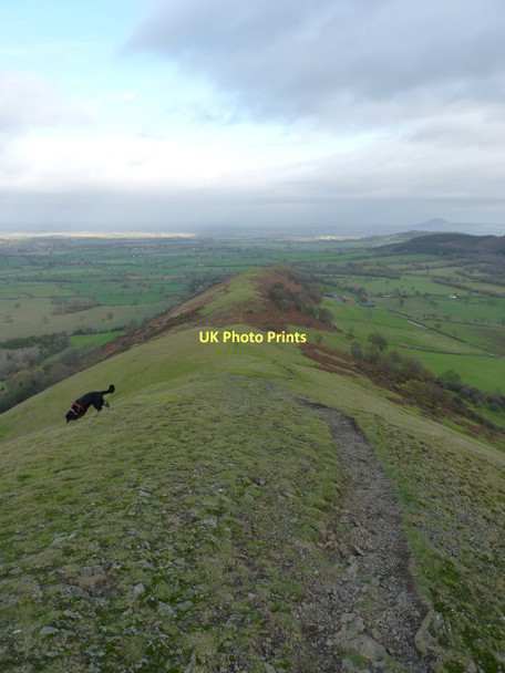 Photo 6"x4" The NE ridge of The Lawley Comley\/SO4896 c2011