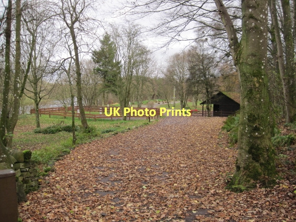 Photo 6"x4" Haltwhistle Caravan and Camping Site at Park Burnfoot Park Village\/NY6861 c2011
