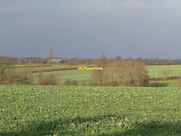 Photo 6"x4" Burton Wolds Six Hills c2011