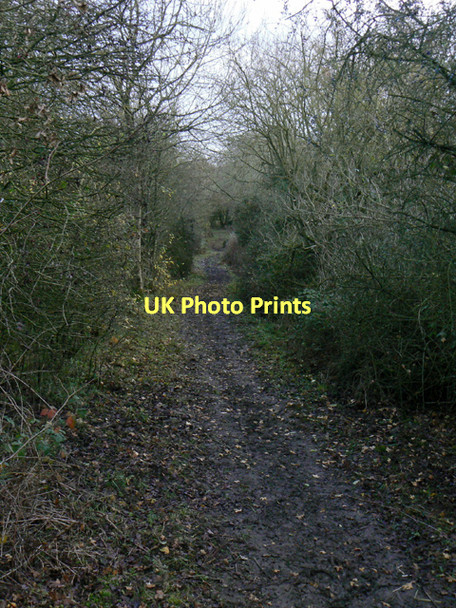 Photo 6"x4" Muckle Gate Lane Seagrave c2011