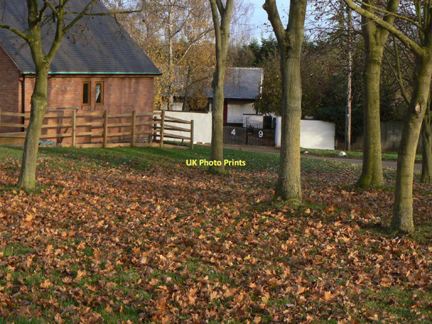 Photo 6"x4" Autumn leaves Seagrave c2011