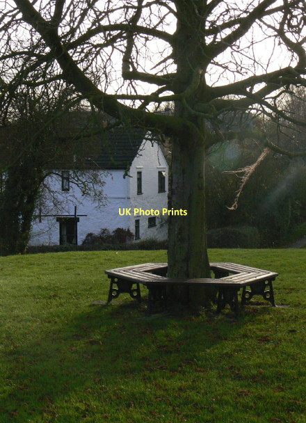 Photo 6"x4" Under the spreading chestnut tree Seagrave c2011