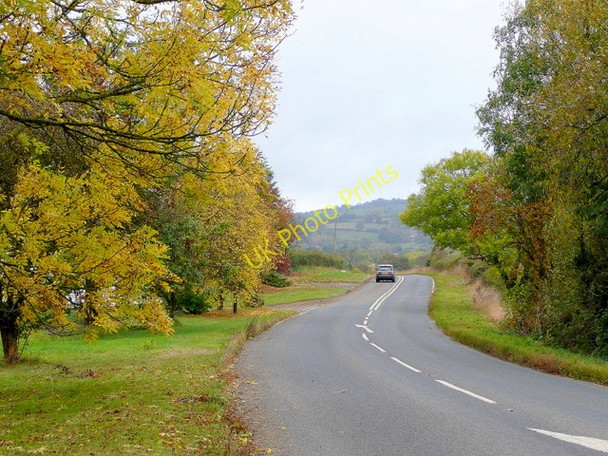 Photo 6"x4" B4632 by Ireley Farm Greet\/SP0230 c2009