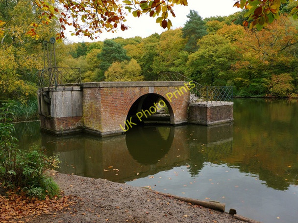Photo 6"x4" The Remains of the Boathouse, Stockgrove Park Fox Corner\/SP9229 c2009