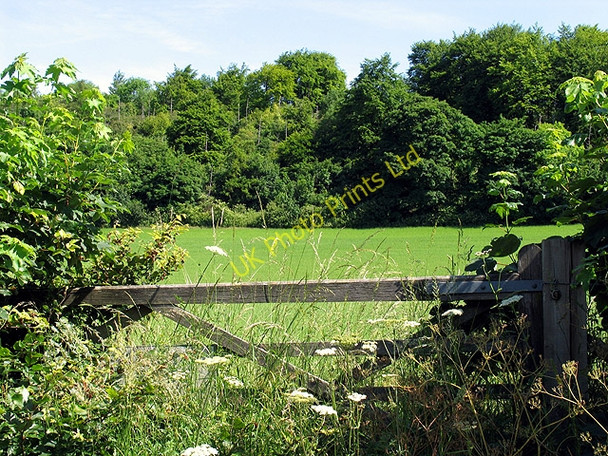 Photo 6"x4" Field near Basildon Lower Basildon c2005