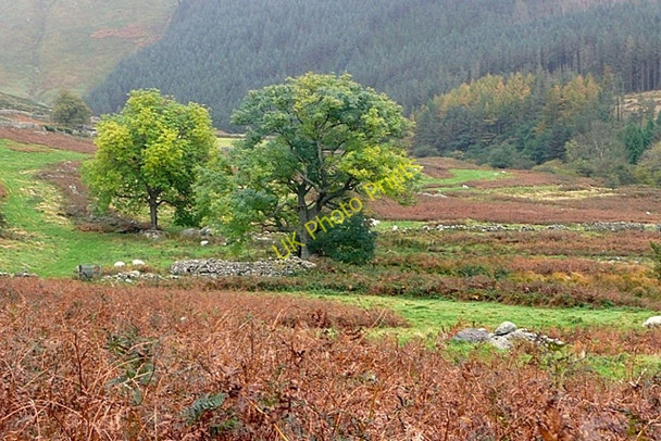 Photo 6"x4" Nant Anafon Gorddinog c2009