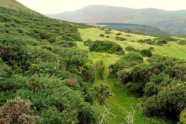 Photo 6"x4" Footpath above the old drove road Llanfairfechan c2009