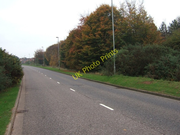 Photo 6"x4" Road beside a housing estate Sandy Gate\/SX9691 c2009