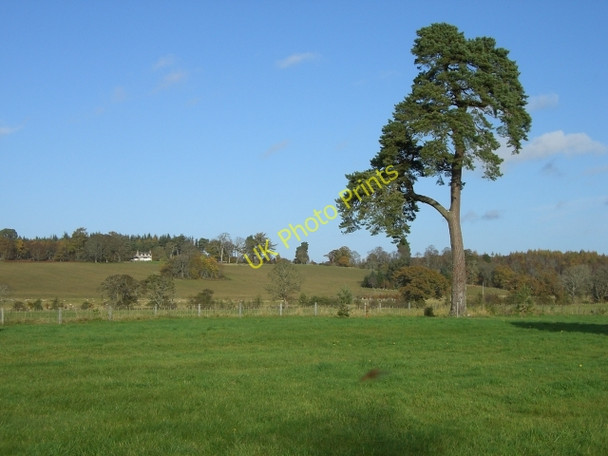 Photo 6"x4" In Balnagown Estate. Kildary c2009