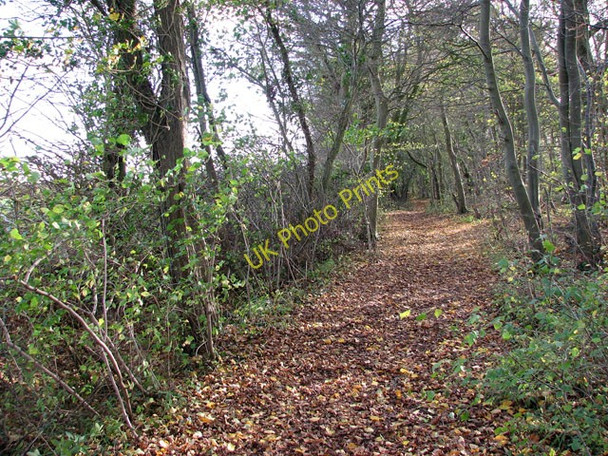Photo 6"x4" This way to Kirstead Green Howe\/TM2799 c2009