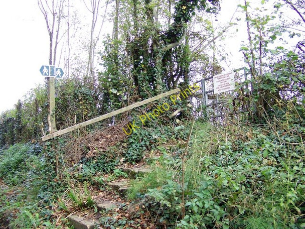 Photo 6"x4" Steps near Longburton Longburton c2009