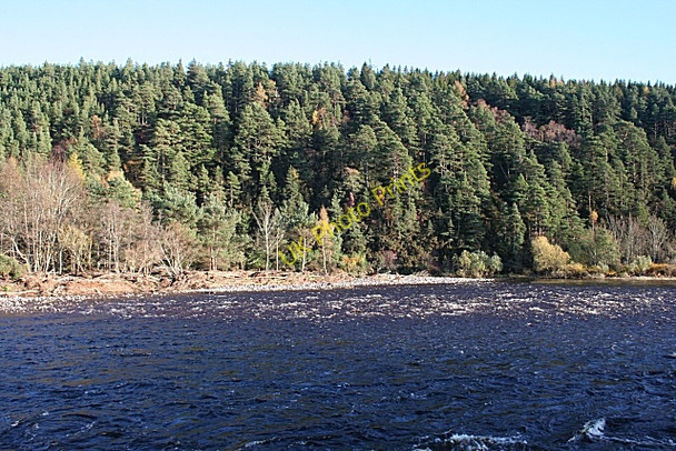 Photo 6"x4" River Spey near Dipple Fochabers c2009