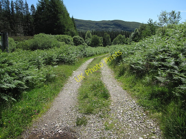 Photo 6"x4" Track to River Carron Strath Carran c2009