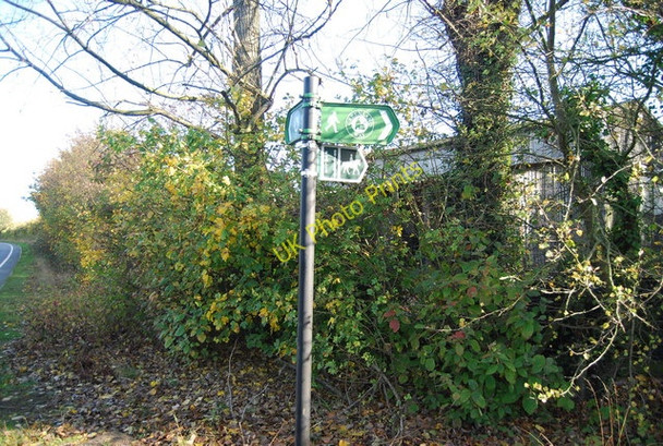 Photo 6"x4" Greensand Way off the A26 West Peckham c2009