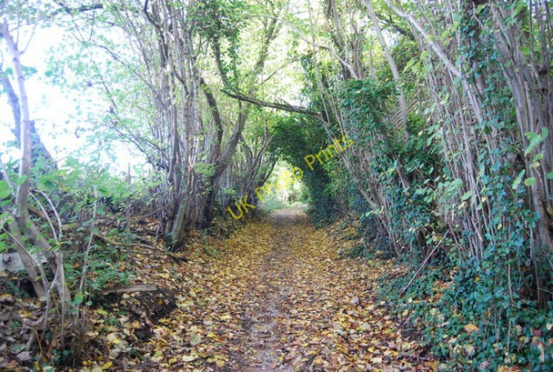 Photo 6"x4" Road used as a public right of way West Peckham c2009