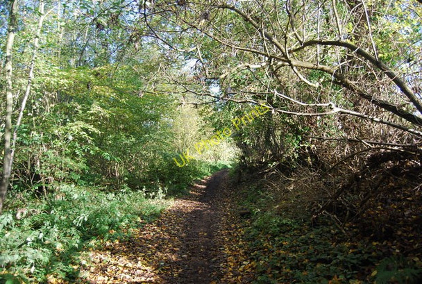 Photo 6"x4" Road used as a public right of way near Forge Farm West Peckham c2009