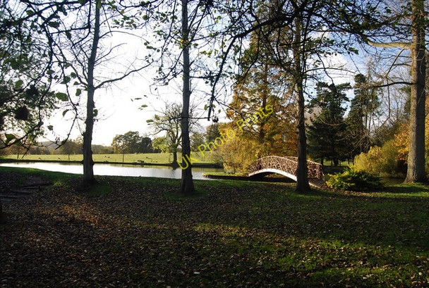 Photo 6"x4" Footbridge on the Lake in the grounds of Fairlawne House Shipbourne c2009