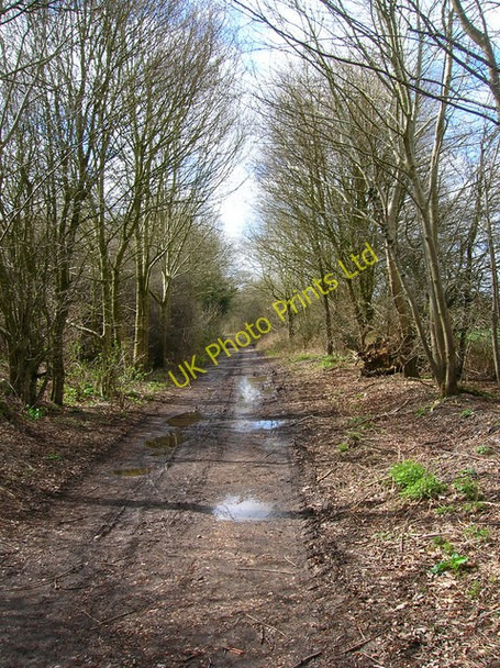 Photo 6"x4" Dismantled Railway Uckfield c2006