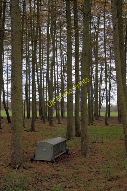 Photo 6"x4" Feeding Trough, Middle Swainston Plantation Embleton\/NZ4129 c2009