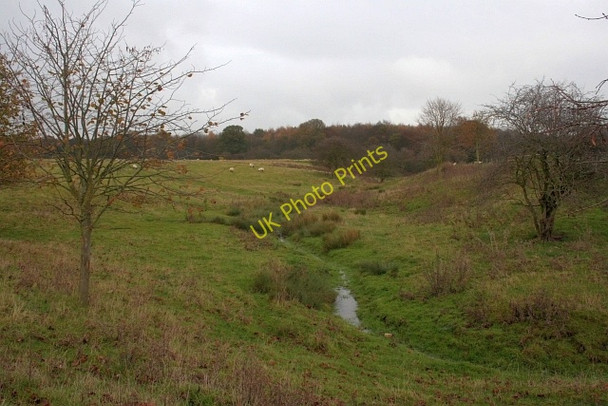 Photo 6"x4" Stream Flowing into Close Wood Embleton\/NZ4129 c2009