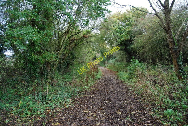 Photo 6"x4" Dismantled Bexhill to Crowhurst railway line Bexhill c2009