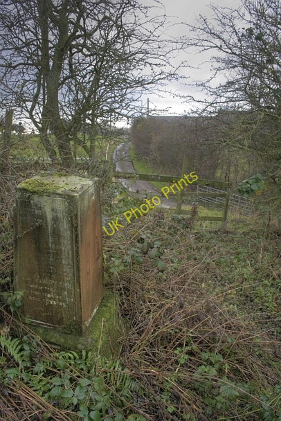 Photo 6"x4" View up the Lane to Embleton Embleton\/NZ4129 c2009
