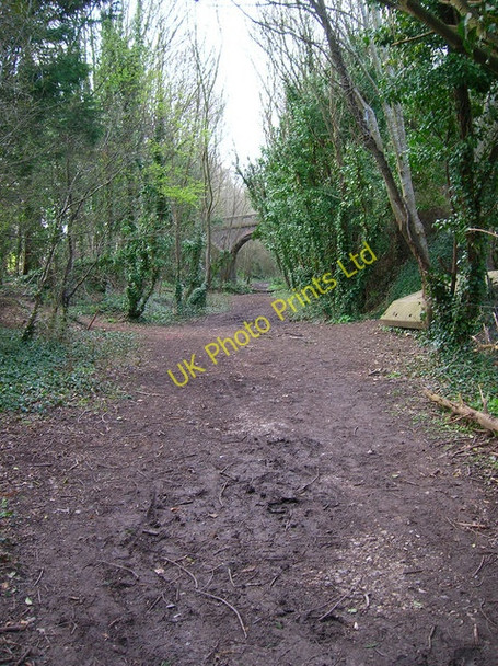 Photo 6"x4" Dismantled Railway, South Malling Lewes c2006