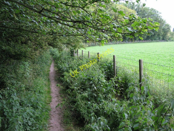 Photo 6"x4" Footpath towards Eastry Statenborough c2009