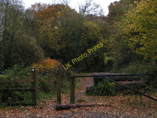 Photo 6"x4" Footpath to Poundapit Copse Hele\/SS9902 c2009