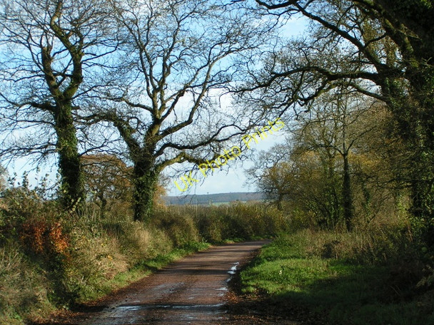 Photo 6"x4" Lane to Hawkerland Hawkerland c2009