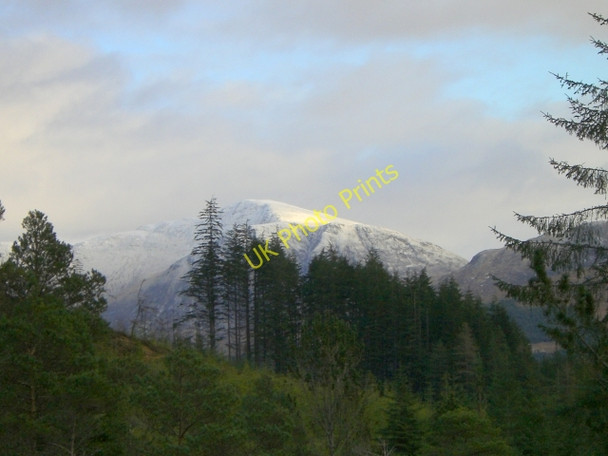 Photo 6"x4" Achnashellach Forest Lair\/NH0148 c2009